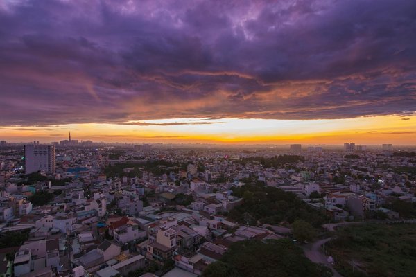 Les safaris inoubliables en afrique du sud : votre guide complet