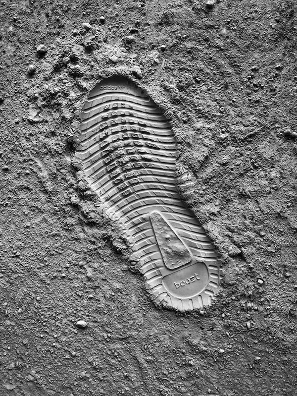 Les 5 meilleures destinations éco-responsables pour un voyage sans empreinte carbone